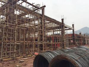 砼預(yù)制梁安裝現(xiàn)場 (1)